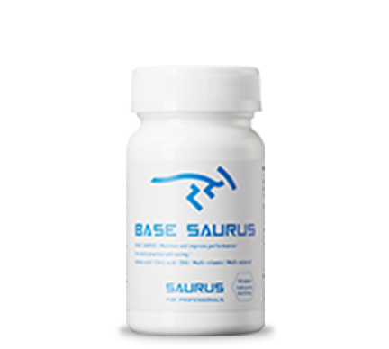 ベースサウルス BASE SAURUS(単品) |