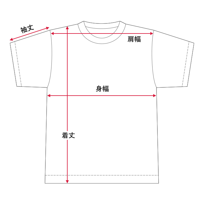 サイズ Tシャツ